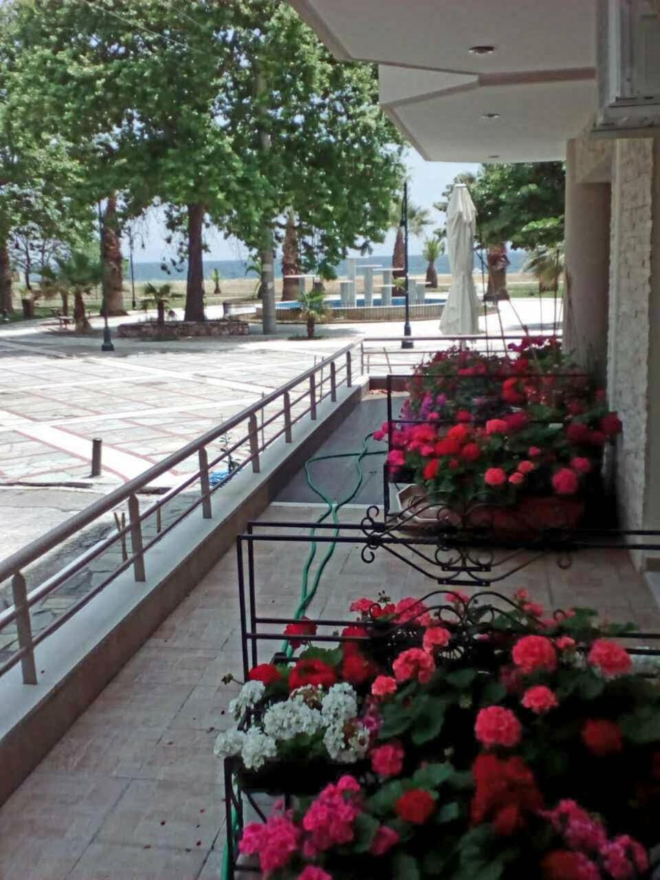 דירות אספרובלטה Al Mare חדר תמונה